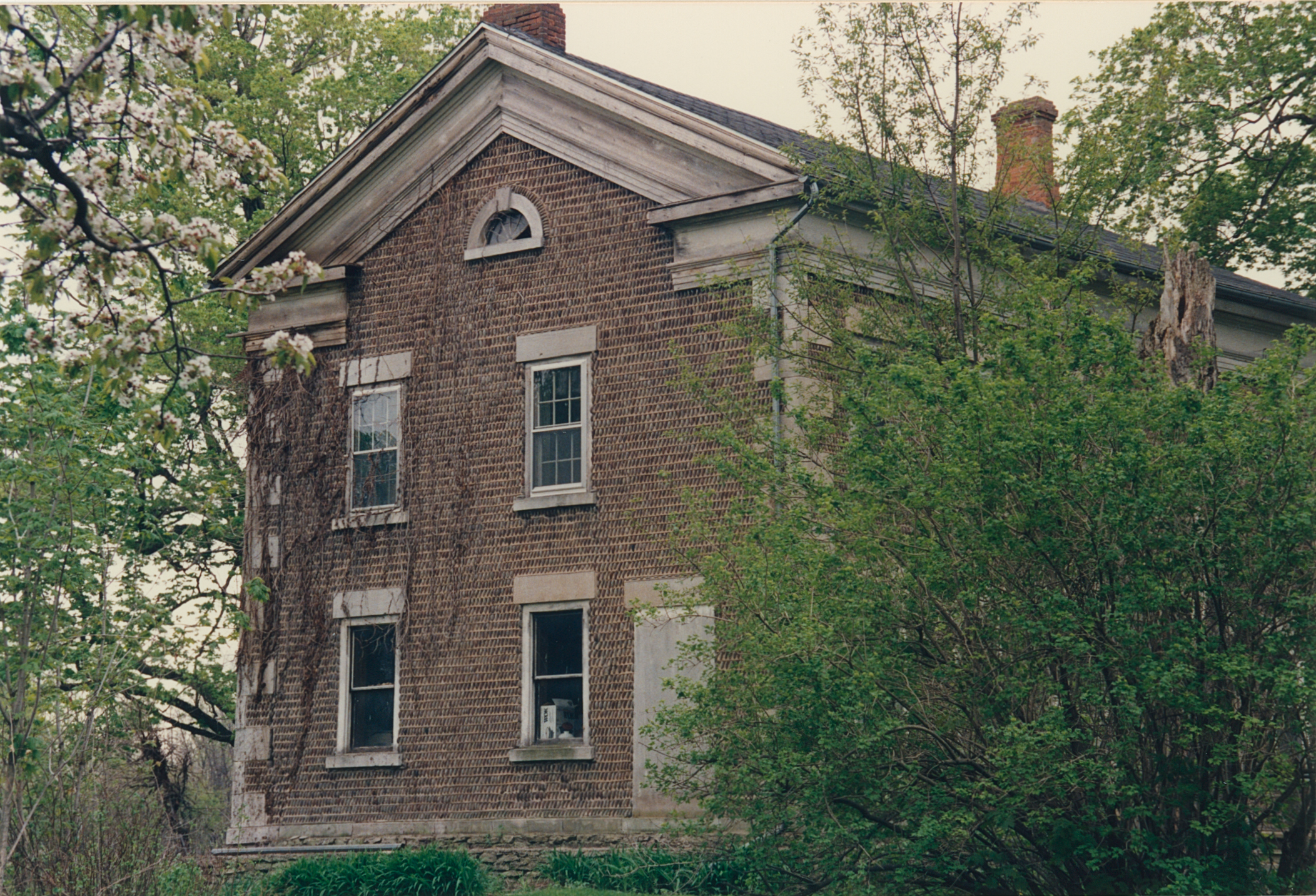 Roy-6 4545 Freeman Rd 3